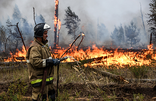 Центральная часть России охвачена пожарами. В Москве стоит запах гари