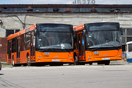 Глава «ГорТранса» рассказал, сколько ещё лет продержатся рыжие автобусы в Калининграде