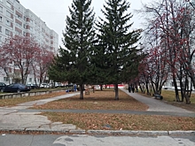 На Урале ночью ожидаются заморозки