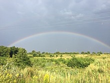 Из Пионерского до Светлогорска построят ещё одну дорогу