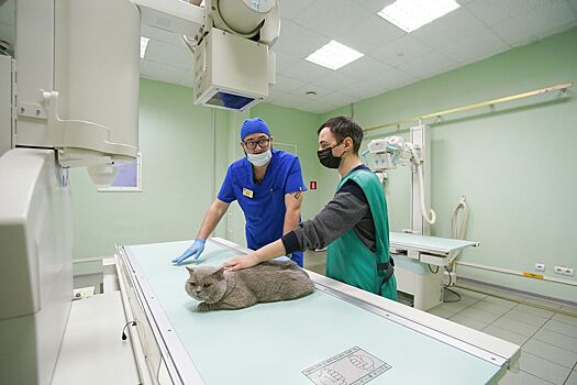 Ефимов: Инвестор построит ветеринарную клинику и объекты бытового обслуживания в Раменках в рамках МаИП