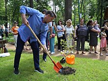 Во время армянского праздника «Вардавар» в парке Космонавтов Ижевска высадили абрикосовые деревья