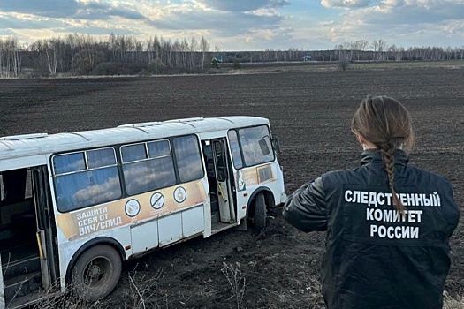 В Тамбовской области рейсовый автобус съехал в кювет, пострадали пять подростков