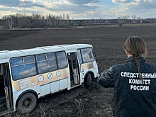 В Тамбовской области рейсовый автобус съехал в кювет, пострадали пять подростков