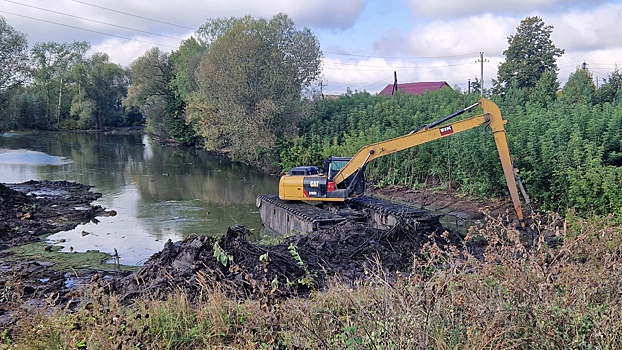 Два пруда начали очищать в Большом Болдине в рамках подготовки к юбилею Александра Пушкина