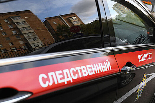 Напавшего на сотрудника СК направят на принудительное лечение