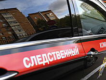 СК возбудил уголовное дело после отравления 8 детей в частном детском саду Москвы