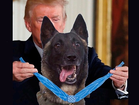 Трамп сравнил себя с псом