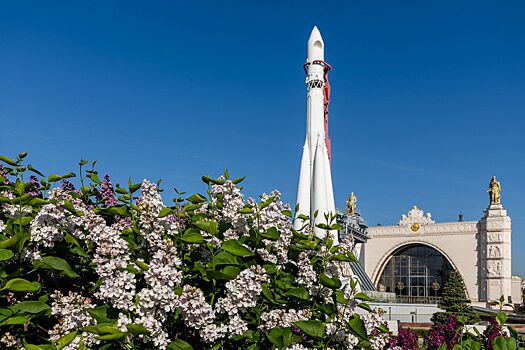 Более 300 кустов сирени, выведенные селекционером Леонидом Колесниковым, зацвели на ВДНХ