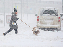 Москва готовится к переменчивой погоде