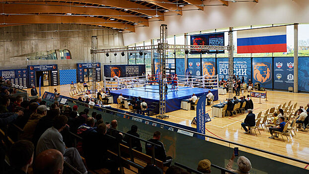 Вологодские боксеры остались без медалей первенства России среди юниоров