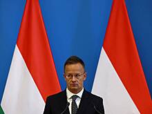 Власти Венгрии пообещали пресекать попытки интеграции «украинской мафии» в ЕС