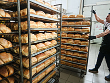 В Херсонской области запустят семь новых производств