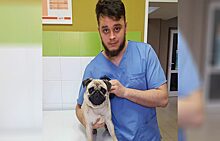 Челябинский ветеринар проверил животных Панасенко на релаксанты