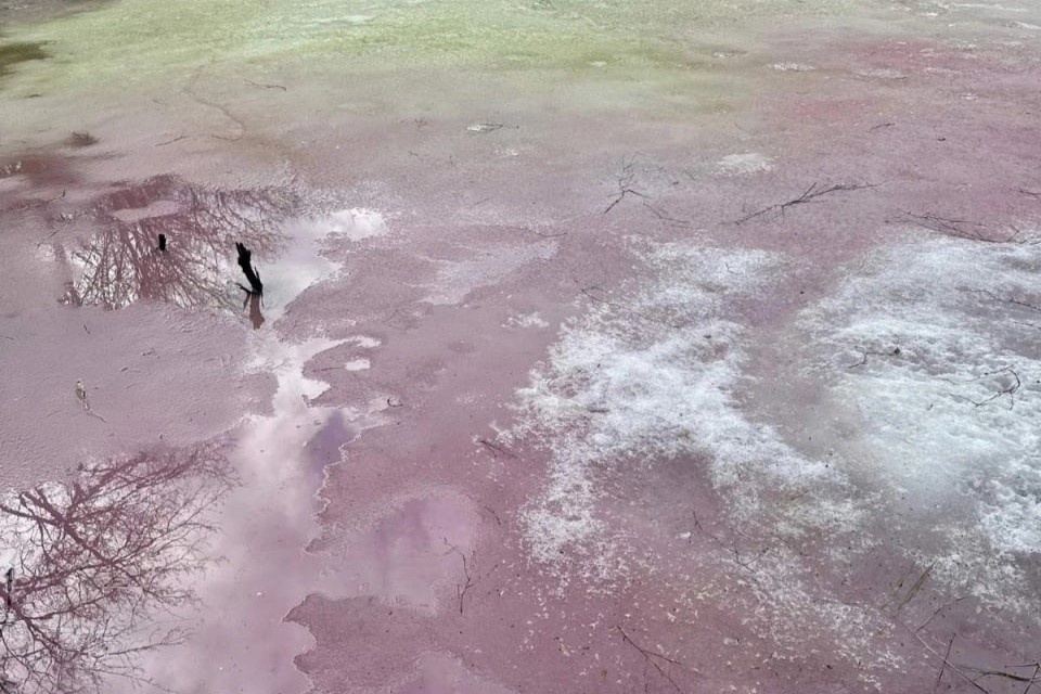 Цветной лед обнаружили рыбаки на озере в Дзержинске