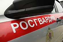 Росгвардейцы задержали подозреваемых в кражах в Волгоградской области