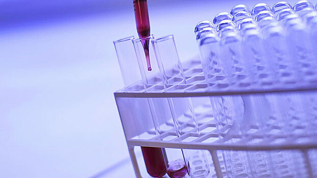 Новый анализ крови поможет определить «зарождающийся» рак