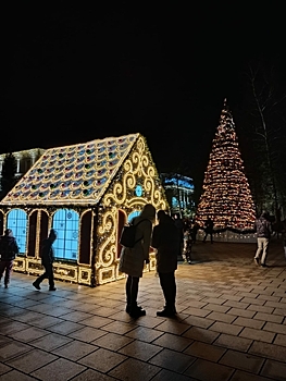 В Зеленоградске новогоднее настроение сохранили до конца января
