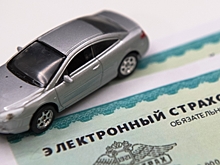 Турция, Казахстан и Иран хотят присоединиться к российскому аналогу «гринкарты»