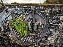 Правда про MH17: Цемах решился дать показания
