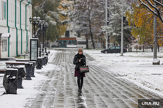 Новый год в Челябинской области начнется с плюсовых температур