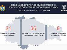 Хинштейн: ВСУ атаковали артиллерией Курскую область 21 раз за сутки