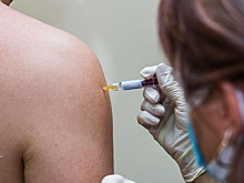 Власти Калужской области активно закупают вакцину от сибирской язвы