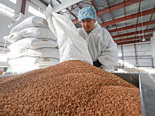 Минсельхоз утвердил перечень системообразующих компаний АПК