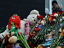 В Москве резко упал спрос на услуги нянь и гувернанток
