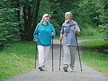 Открыт механизм защиты костей от остеопороза