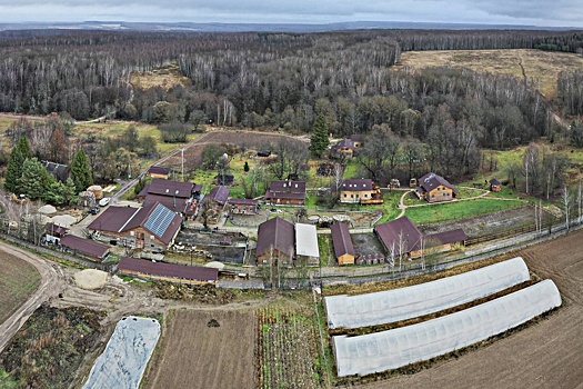 Бойцам СВО автоматически продлят договоры аренды земли