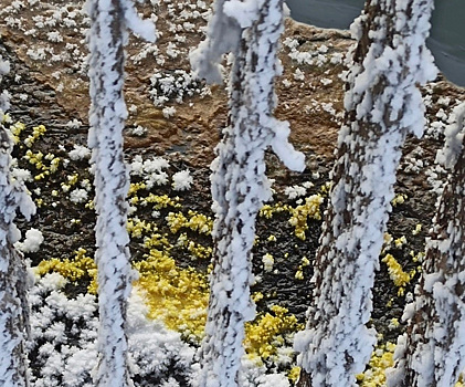 Пермяки заметили разлив масла на реке у Яйвинской ГРЭС