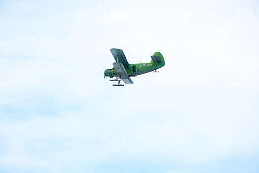 ТАСС: причиной крушения Ан-2 в Ростовской области стала ошибка пилотирования