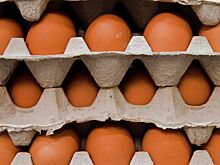 Несколько крупных сетей ограничат наценку на куриные яйца