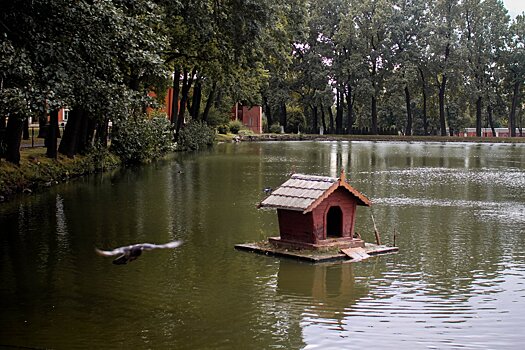 В Московской области завершается очередной этап расчистки водоемов