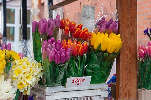 Более 200 тюльпанов за фальшивый скриншот: в Новороссийске раскрыта цветочная афера