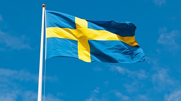 МИД Швеции разработал стратегию по «поддержке демократии» в России