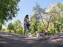"Лента" запустит пилотный проект табачных отделов при гипермаркетах в Санкт-Петербурге