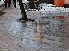 Само не растает. Псков сегодня: если не грязь, то гололёд и сугробы?