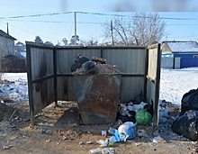 «Собаки все растащили»: жители Белогорска жалуются на мусор, который не вывозят