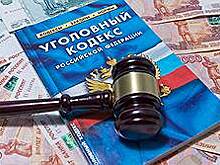 Учительница информатики из Самарской области осуждена за мошенничество с соцвыплатой