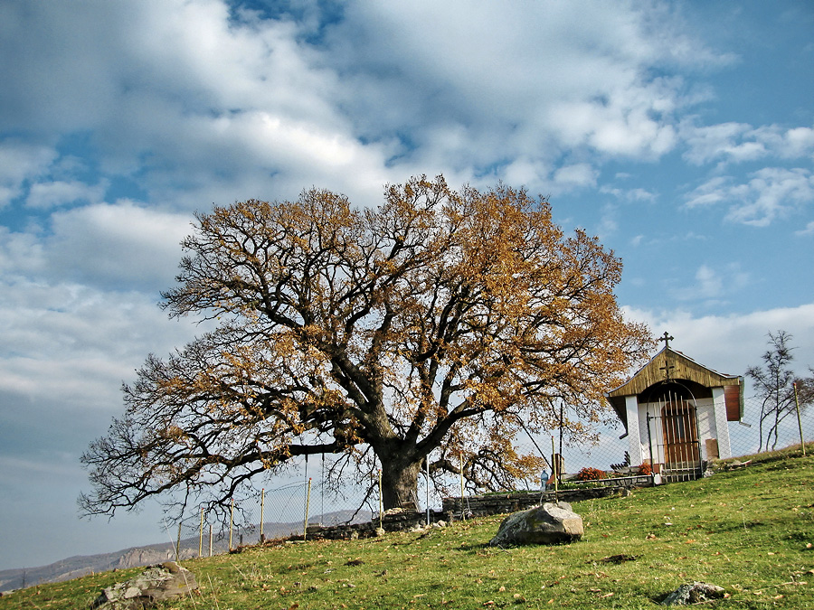 Болгария, Европа
