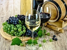 Регулирование винодельческой отрасли в России усовершенствуют