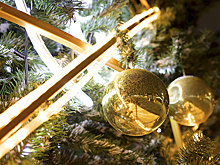 Парки Подмосковья готовятся к зимнему сезону