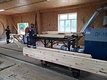 Тамбовские лесхозы планируют вложить в развитие отрасли 50 млн рублей