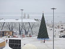 Жителям Волгоградской области предложили провести корпоративы на свежем воздухе