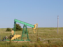 Сечин хочет заниматься газом на особых условиях