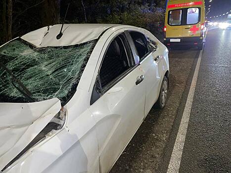 В Кирове водитель «Весты» сбил лося