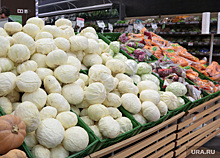 Эксперты прогнозируют снижение цен на сезонные овощи