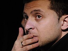 У Зеленского нашли три компании в России
